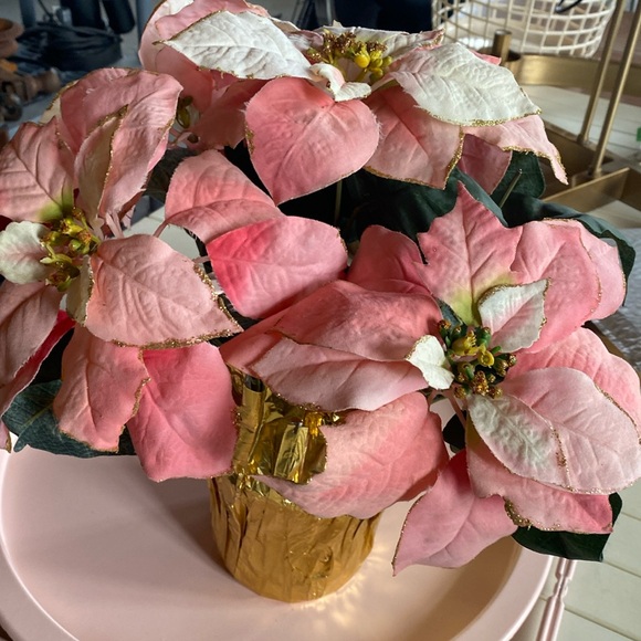 Pink potted faux poinsettias - Picture 1 of 2